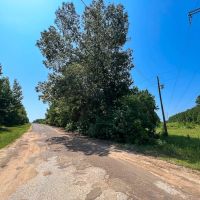 New Listing 321 - Acres Brown County images 2