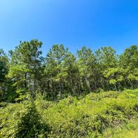 New Listing 321 - Acres Brown County images 3