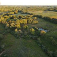 New Listing 13.23 Ac CR 356 Anson