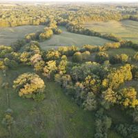 New Listing 13.23 Ac CR 356 Anson images 5