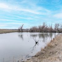 Diverse 147 Acre Southern Osage County Kansas Tract for Sale images 5