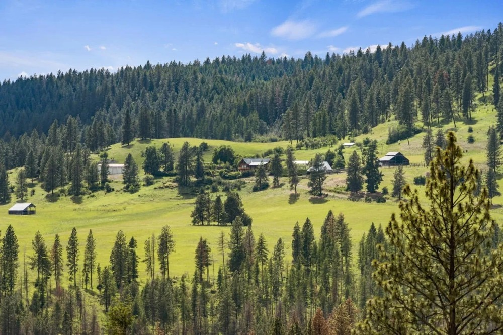 35 Acres on Red Mountain featured image