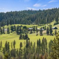 35 Acres on Red Mountain