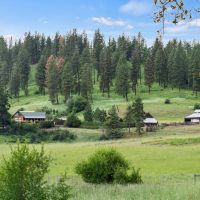 35 Acres on Red Mountain images 2