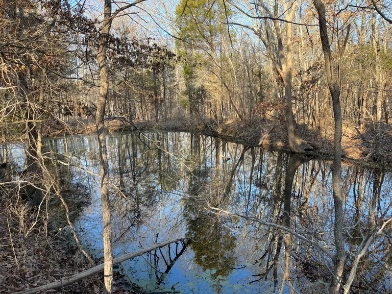 Beaver County Paradise featured image
