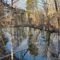 Beaver County Paradise