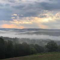 Ozark Mountain Recreational Farm With Income images 3