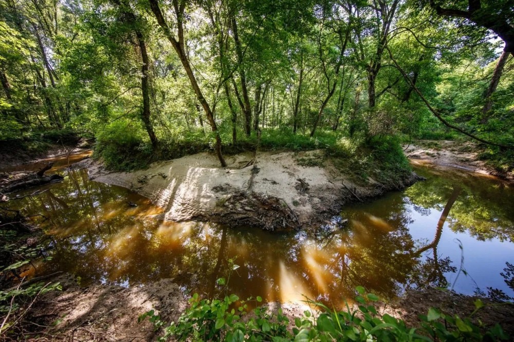 Carroll Creek Ranch featured image