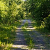 Carroll Creek Ranch images 4