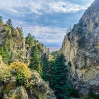 Versatile 99 Acre Tract for Sale Alexander County images 3