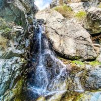 Versatile 99 Acre Tract for Sale Alexander County images 4