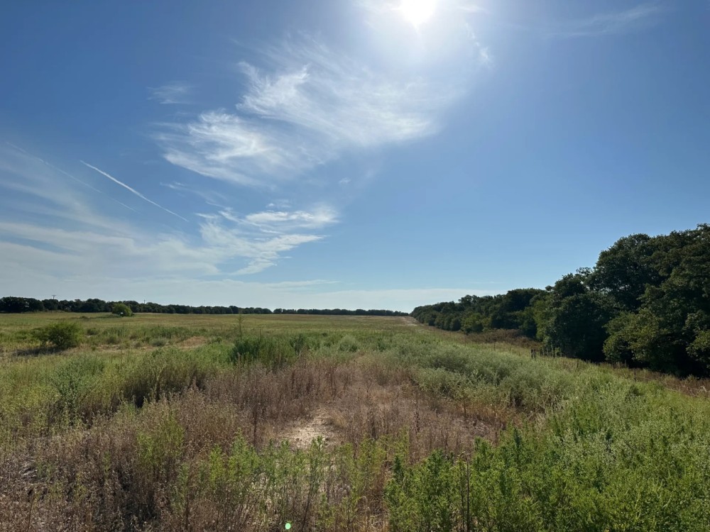 New Listing 63 - Ac TBD Private Rd 4145 Cross Plains featured image
