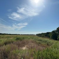 New Listing 63 - Ac TBD Private Rd 4145 Cross Plains