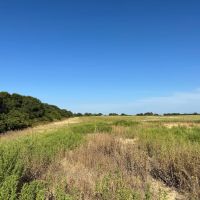 New Listing 63 - Ac TBD Private Rd 4145 Cross Plains images 2
