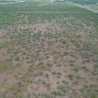 New Listing 75 - Ac North FM 1597 Lueders