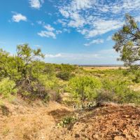 New Listing 207.9 Acres Custom Ranch Home Callahan County images 3