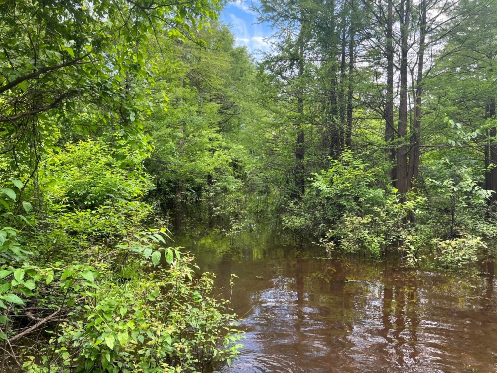 LA - Union 343 acres - featured image