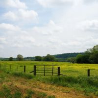 Rec Tract On The James River Near Springfield images 3