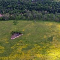 Rec Tract On The James River Near Springfield images 5