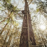 100 Acres with a Home in Walthall County MS images 3