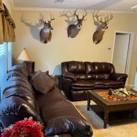 100 Acres with a Home in Walthall County MS images 4