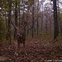 Sequoyah County 250 images 3