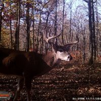 Sequoyah County 250 images 4