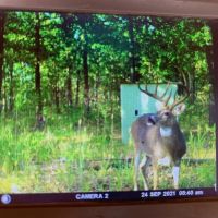 Sequoyah County 250 images 5
