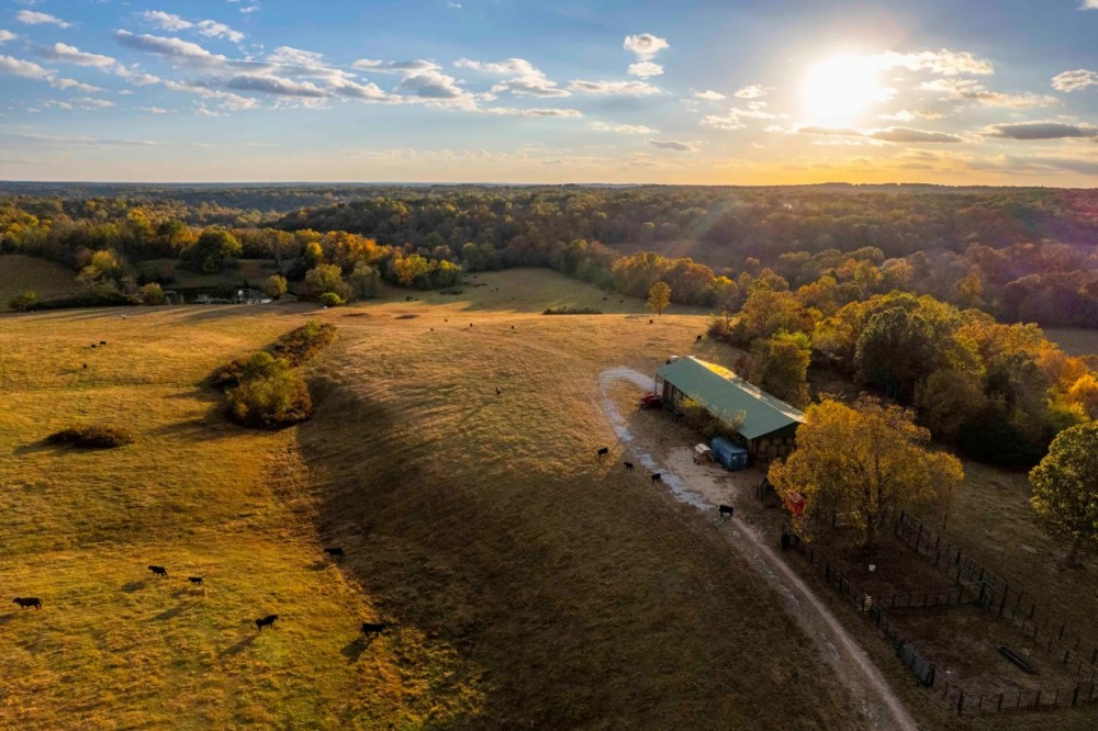 226 Acre Farm Recreational Property for Sale Crawford County featured image