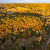 226 Acre Farm Recreational Property for Sale Crawford County images 3
