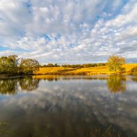 226 Acre Farm Recreational Property for Sale Crawford County images 5