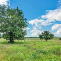 Tract 3 Hunt Lane