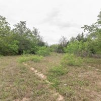 Tract 3 Hunt Lane images 5