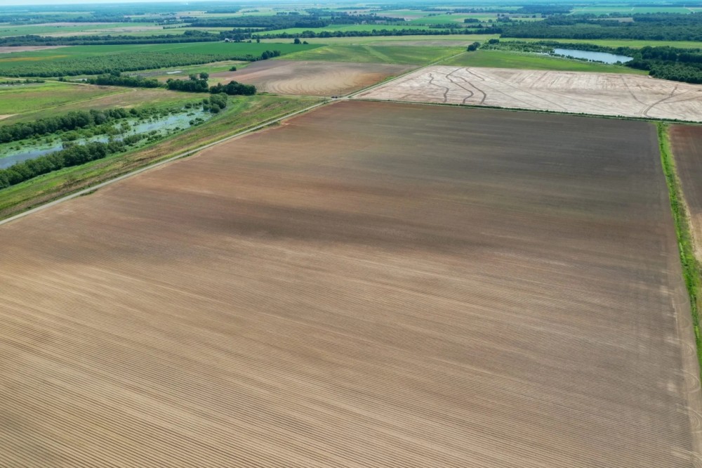 MS - Leflore 134 acres - featured image