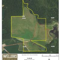 MS - Leflore 134 acres - images 3