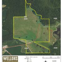 MS - Leflore 134 acres - images 5