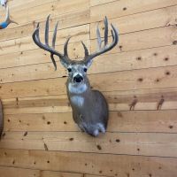 Sand Creek Ranch images 1