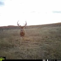 Sand Creek Ranch images 3