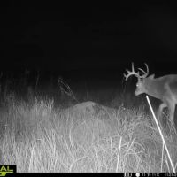 Sand Creek Ranch images 5