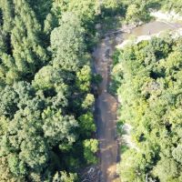 100.68 Acres in Rankin County MS images 2