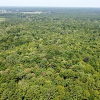 100.68 Acres in Rankin County MS images 5