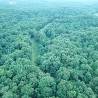 LA - Caldwell 40 acres - images 5