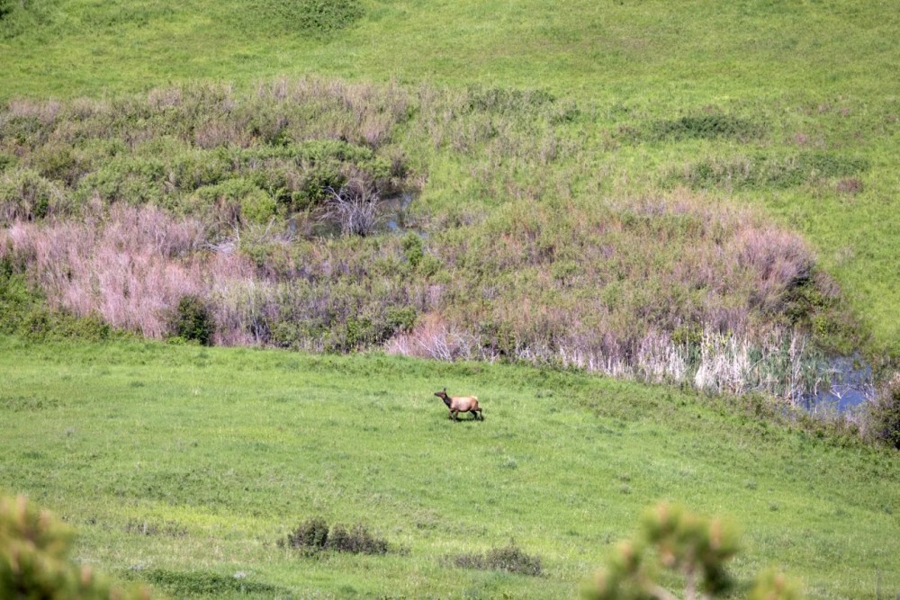 Bear Creek Ranch featured image