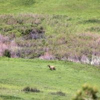 Bear Creek Ranch images 1