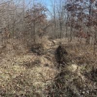 LA - West Carroll 80 acres - images 2