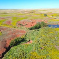 Washita County 80 North