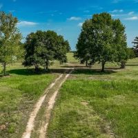 New Listing 75 - Ac Hwy 6 Lueders images 3
