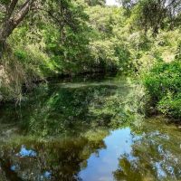New Listing 75 - Ac Hwy 6 Lueders images 4