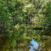 New Listing 75 - Ac Hwy 6 Lueders images 5