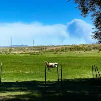 Phalan Phalen Creek Ranch Currie Nevada images 3